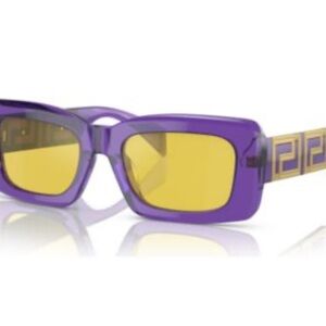 Versace Men's Greca Sunglasses